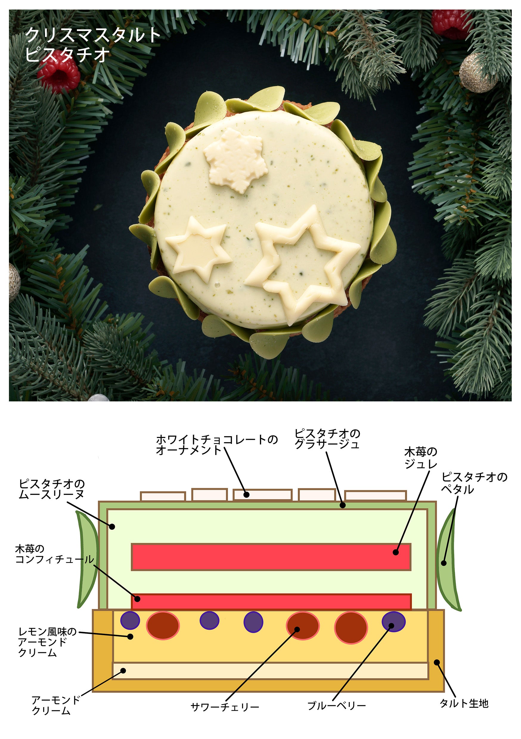 お届け時期：12月20日～12月25日】クリスマスタルト ピスタチオ