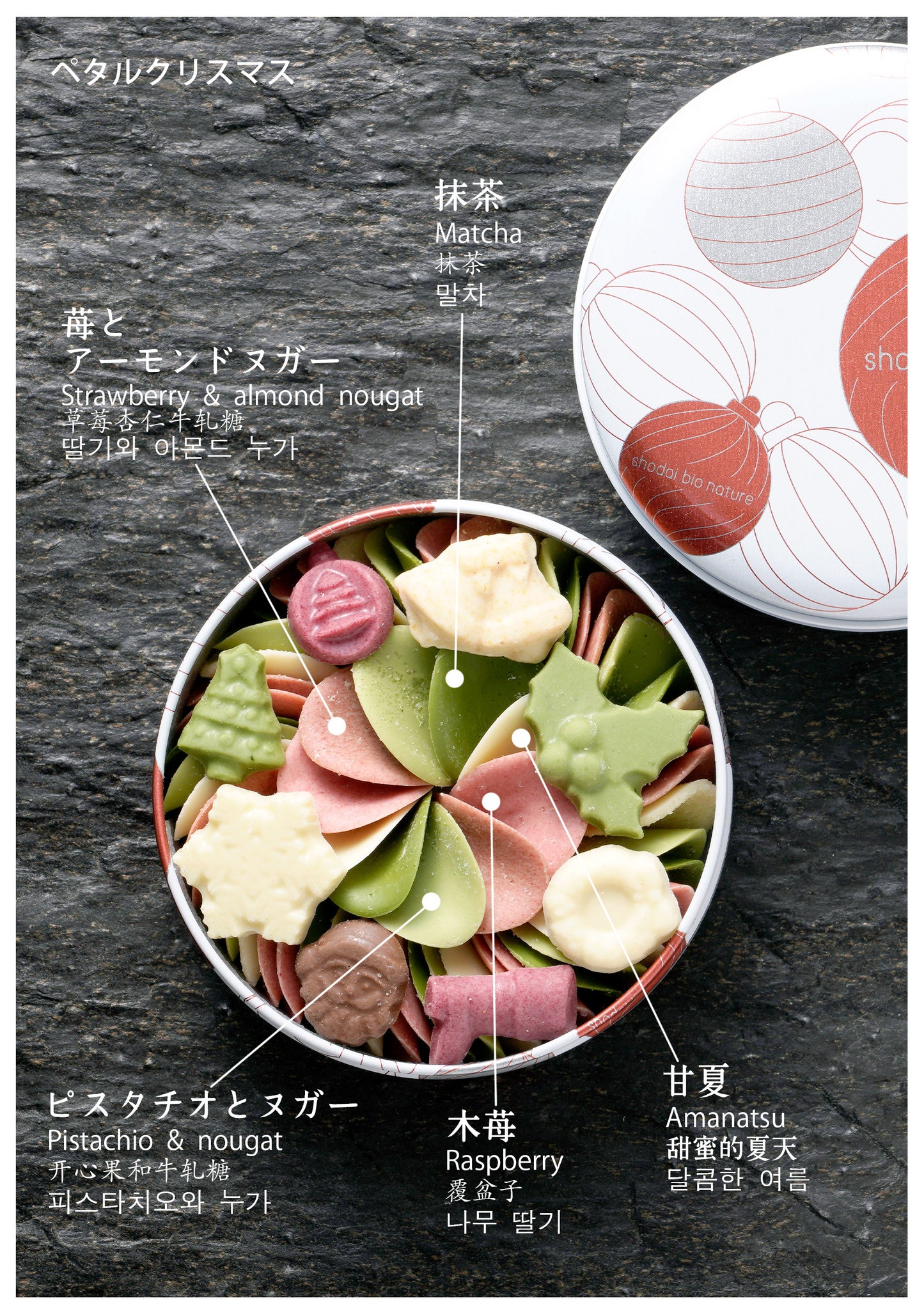 【期間限定】ペタルクリスマス