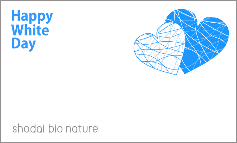 メッセージカード