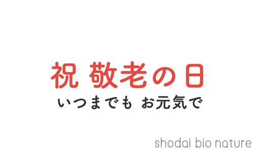 メッセージカード
