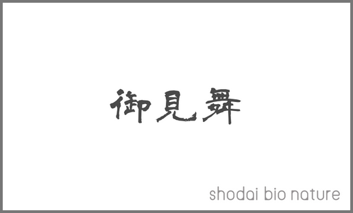 メッセージカード