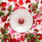 【2025年新商品】薔薇の水羊羹