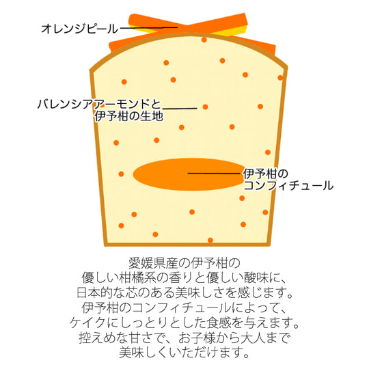 パウンドケイク 愛媛の伊予柑